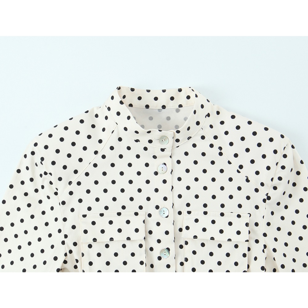 Elegant Chic Fitted Polka Dot  - đánh giá và giá Matcha